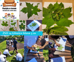 Klasa w terenie zad.1 klasa 3as - 1