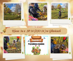 Kopia – Przyrodnicza mandala zad 4_1acd - 1