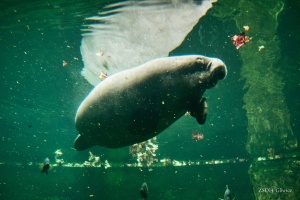 wroclaw028