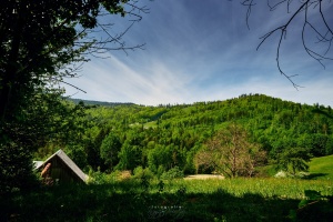 wycStozek06